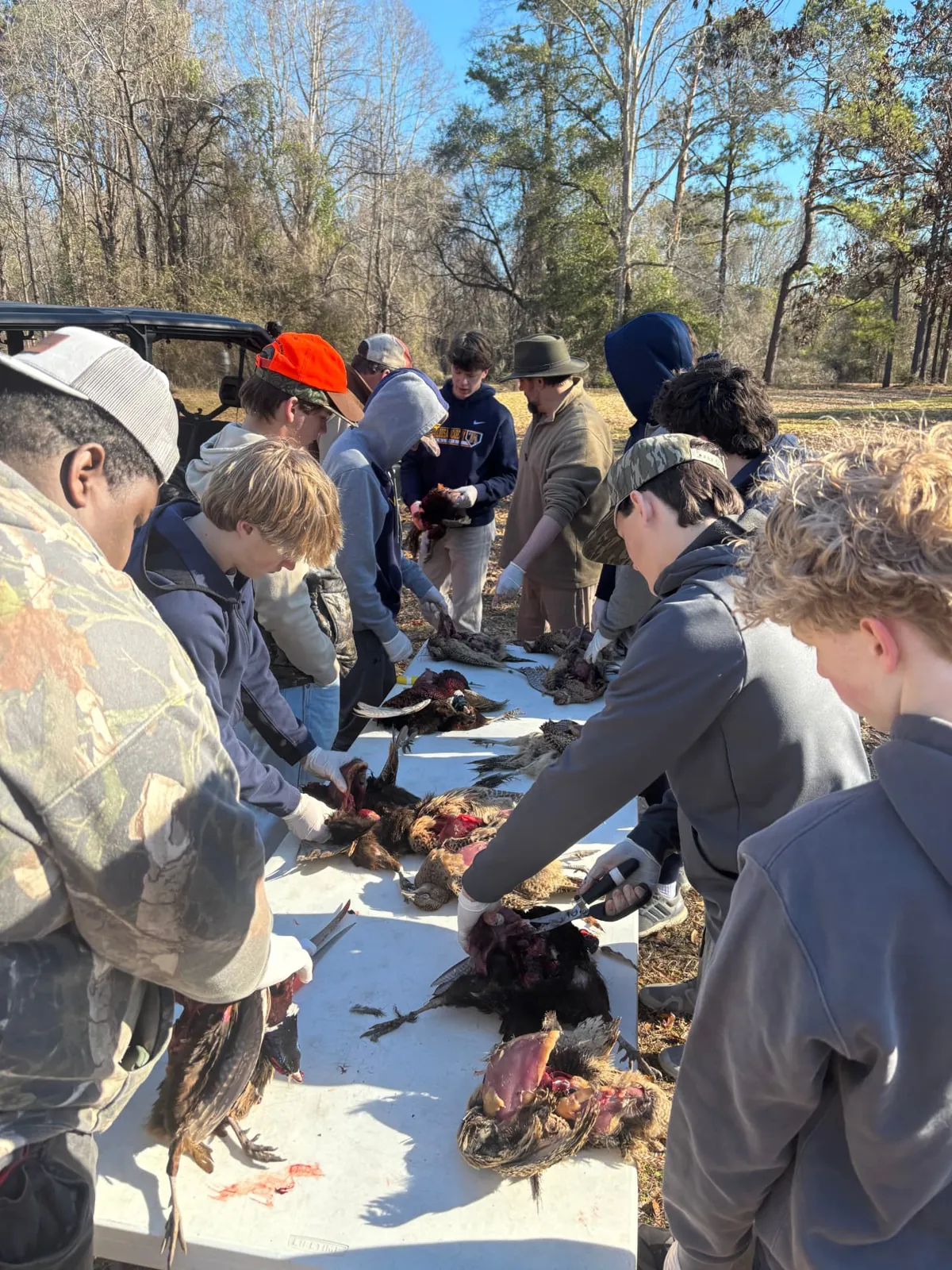 Volunteers cleaning and packaging birds at the processing table